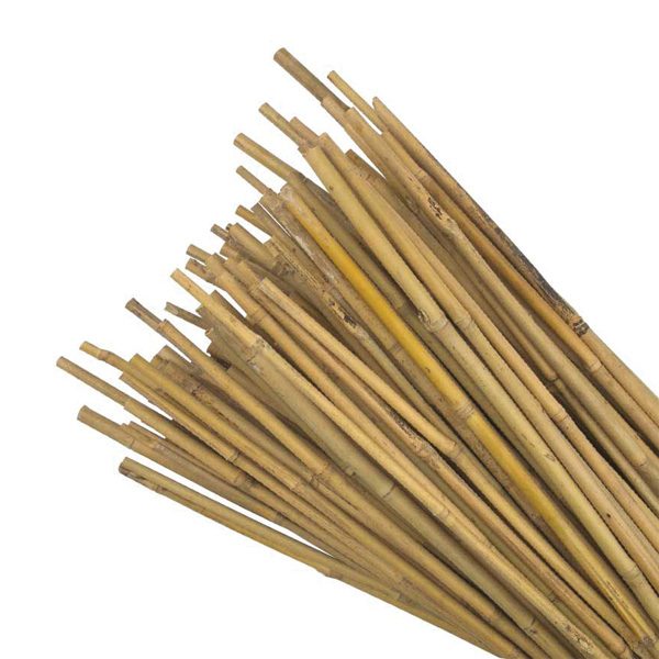 Bamboo Canes 120cm Pack of 20 Progrow