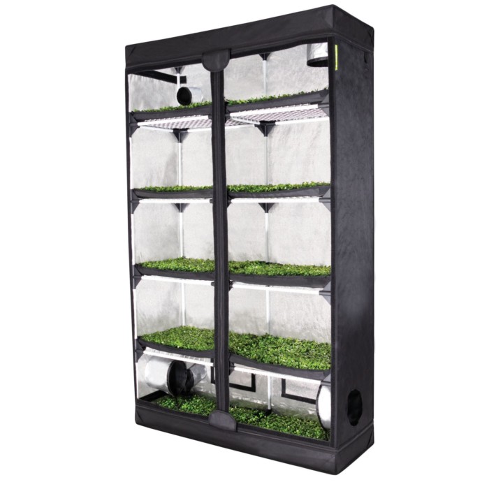 Garden HighPro Probox Propagator XL open